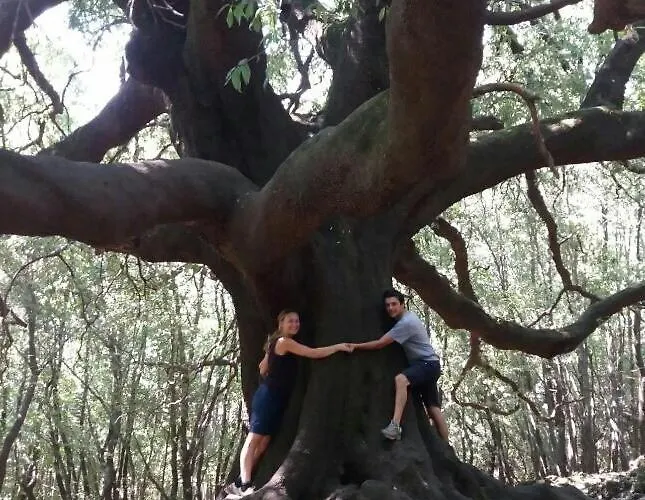 Apartment Al Palazzetto Di